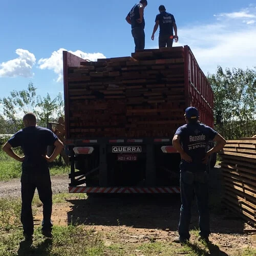 Pranchas de Madeira Cumaru