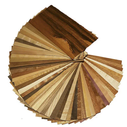 Catálogo de Vernizes