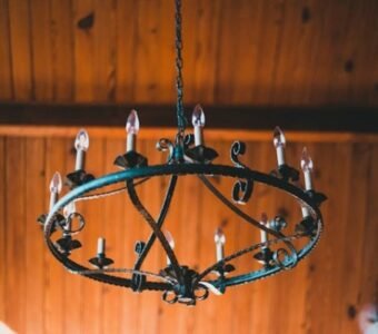 Madeira Peroba do Norte: Guia Completo!